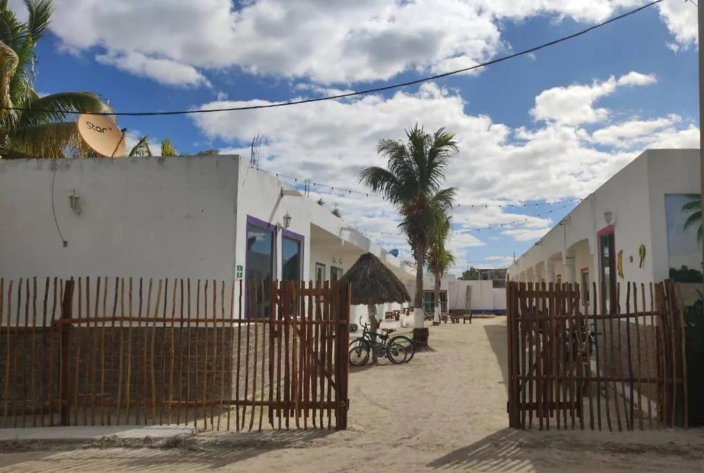 4 Tiburon Toro Squalo'S Place Isla Holbox Apartmán
