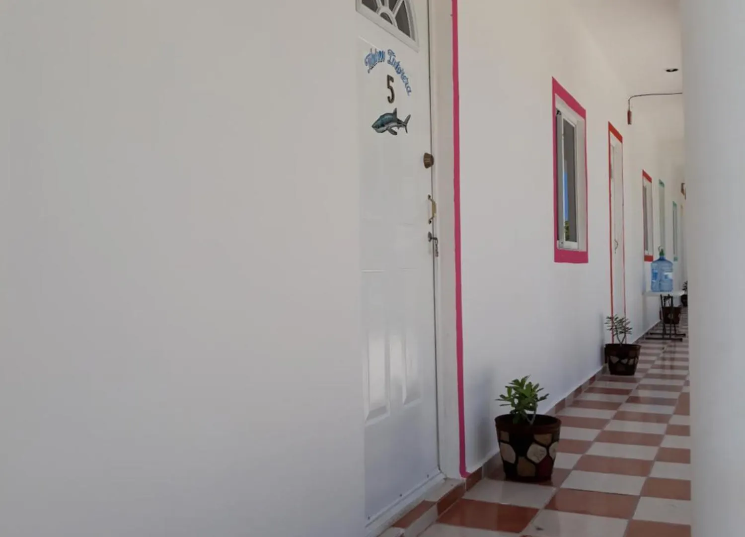4 Tiburon Toro Squalo'S Place Isla Holbox 0*,  Mexiko